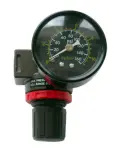 säädin+painemittari 1/4"