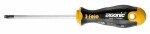 reikä-TORX ruuvimeisseli T27 x 100 mm