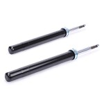 RIDEX 854S1860